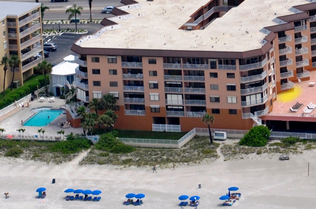 Beach-Palms